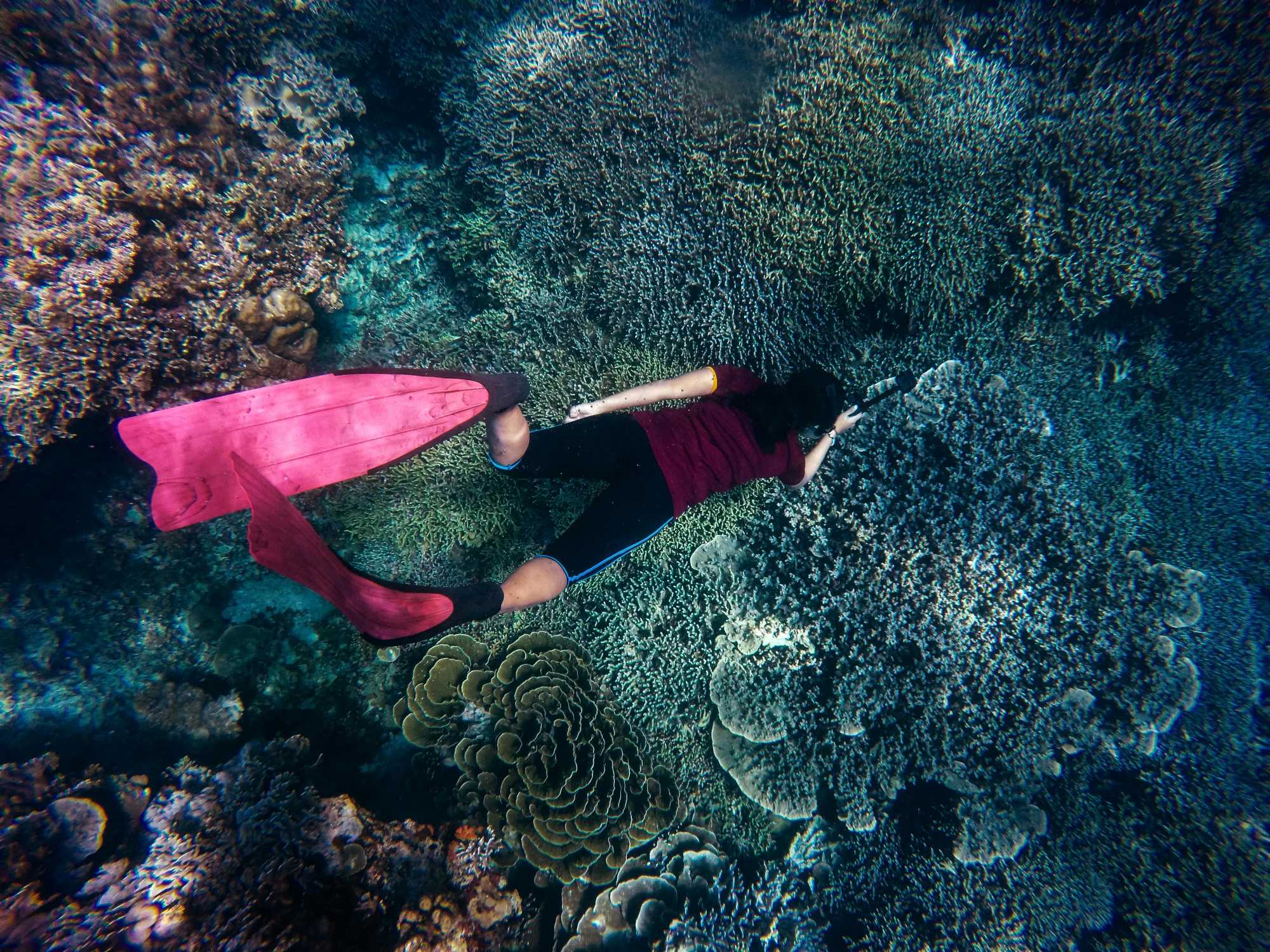 scuba Curacao scuba Curacao